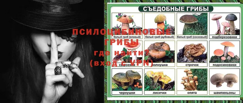 Псилоцибиновые грибы MAGIC MUSHROOMS  Новозыбков 